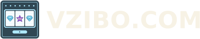 VZIBO.COM